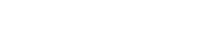 Drivers Depot Logo